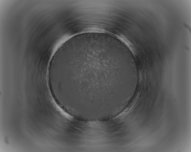 X0000097631379200802291329