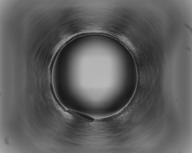 X0000097631380200802291329