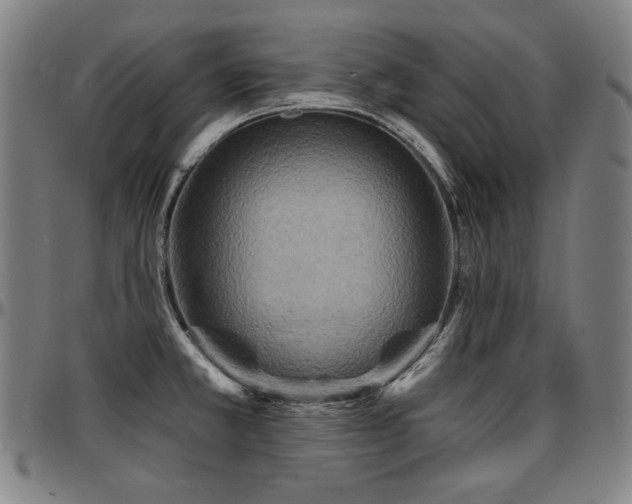 X0000097631381200802291329