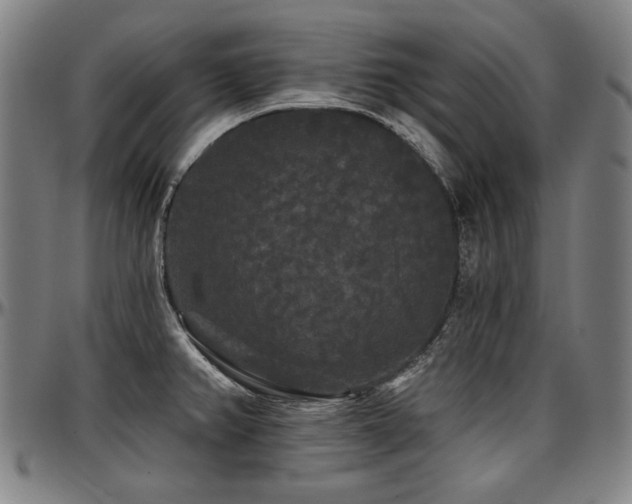 X0000097631382200802291329