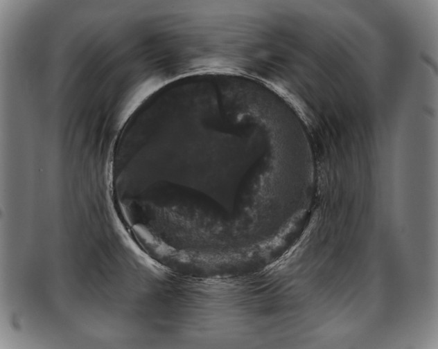 X0000097631383200802291329