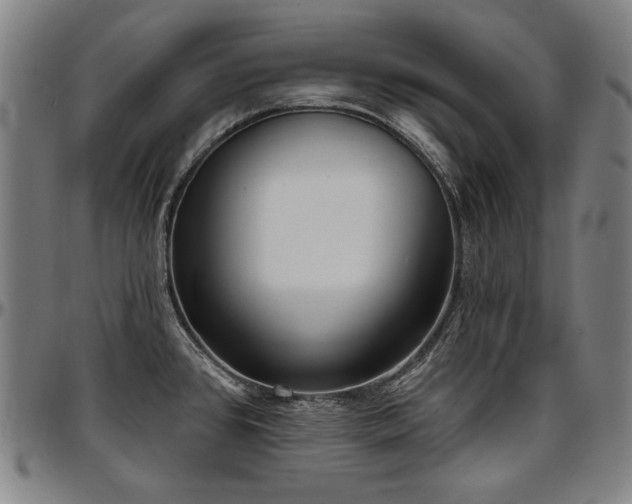 X0000097631384200802291329