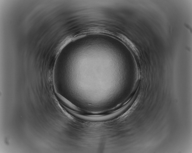 X0000097631385200802291329