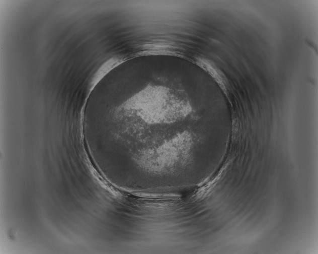 X0000097631386200802291329