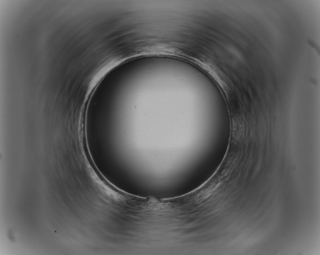 X0000097631387200802291329