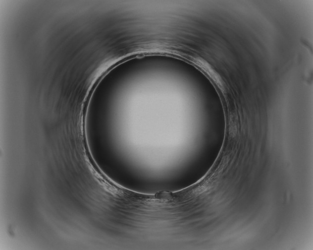 X0000097631388200802291329