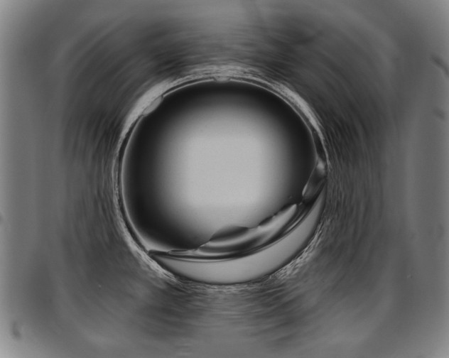 X0000097631389200802291329