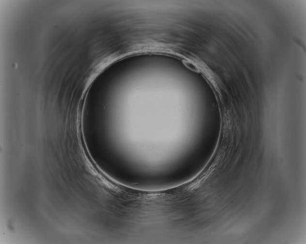 X0000097631390200802291329