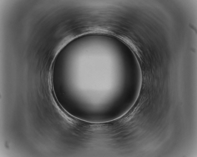 X0000097631391200802291329