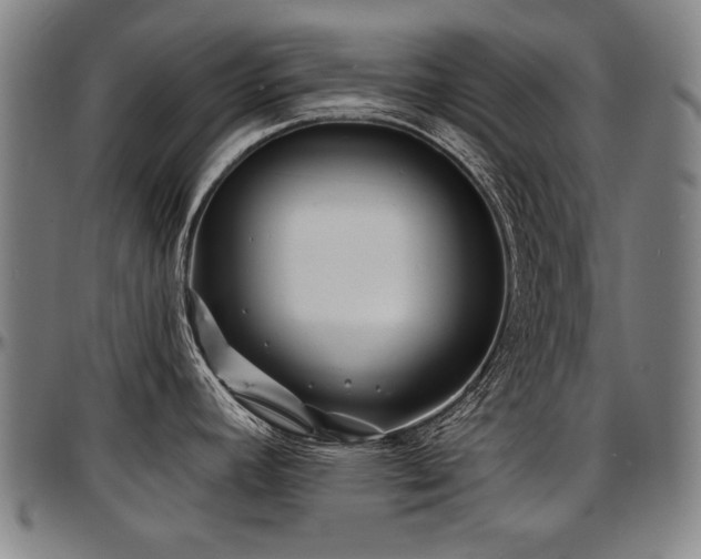 X0000097631392200802291329