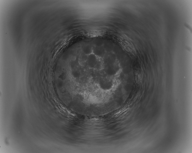 X0000097631393200802291329