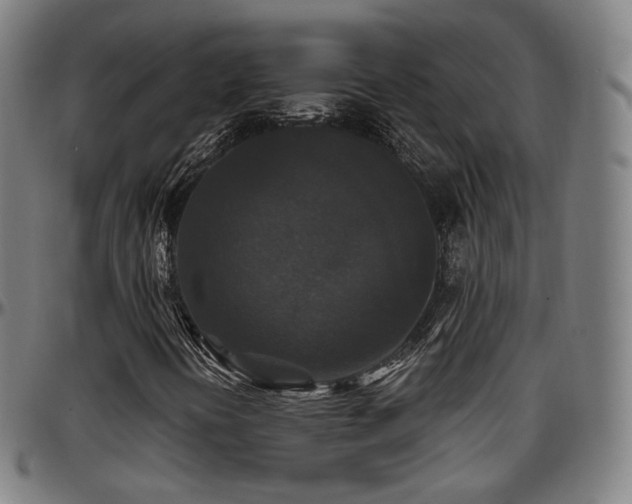 X0000097631394200802291329