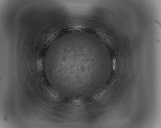 X0000097631395200802291329