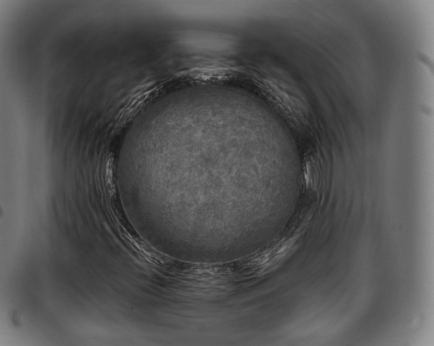 X0000097631396200802291329