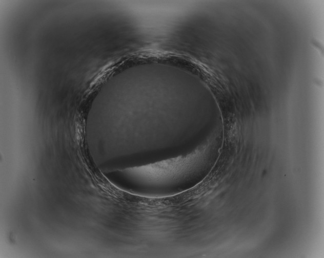 X0000097631397200802291329