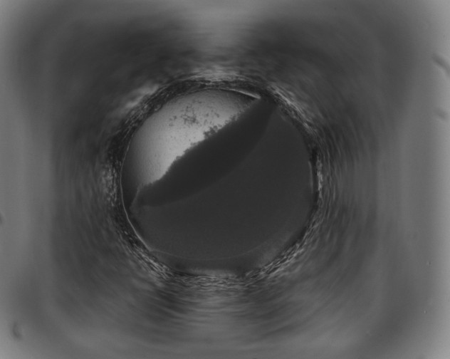 X0000097631398200802291329