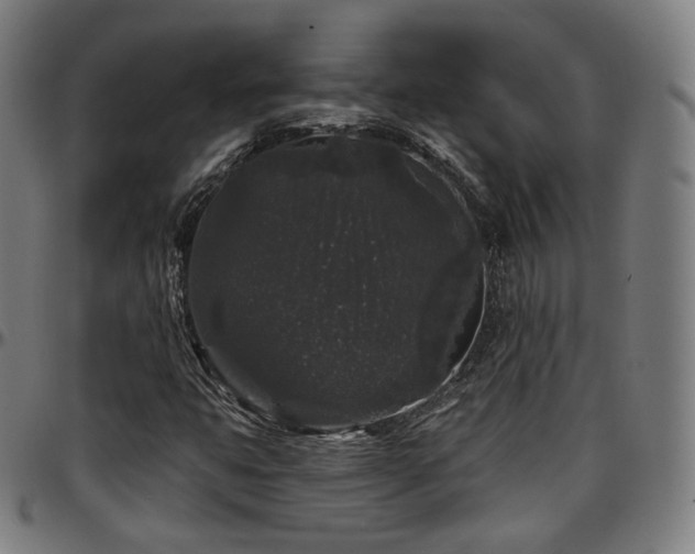 X0000097631399200802291329