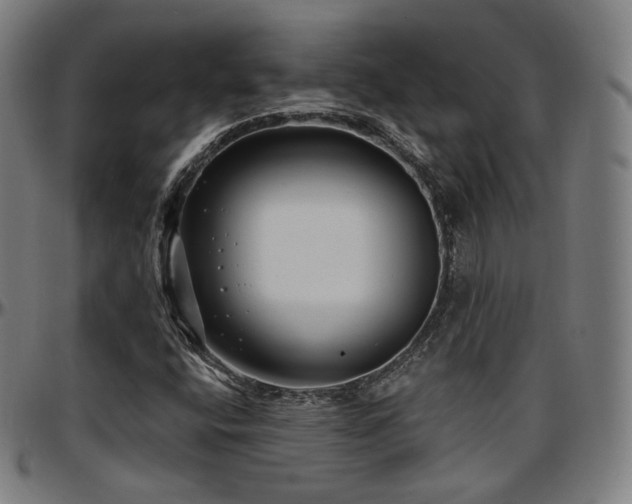 X0000097631400200802291329