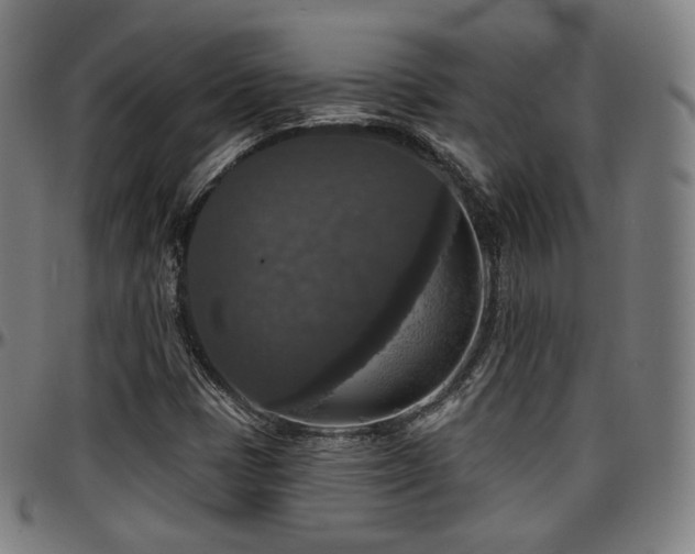 X0000097631401200802291329