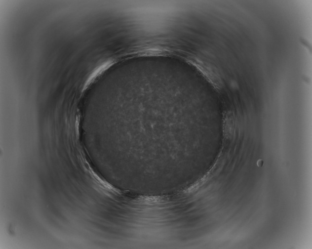 X0000097631402200802291329