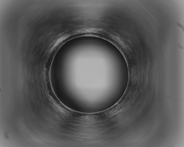 X0000097631404200802291329