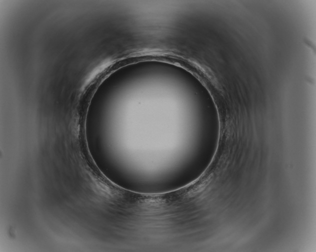 X0000097631406200802291329