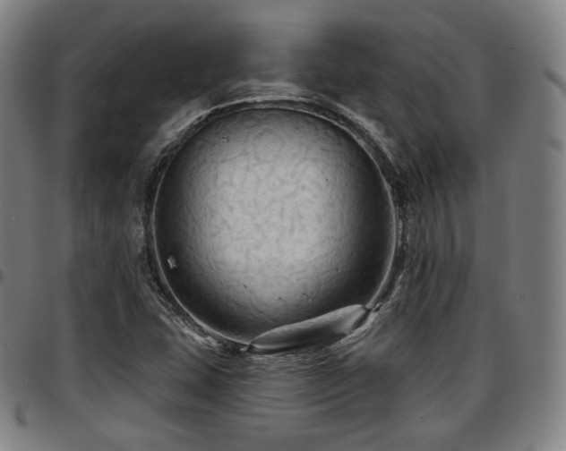 X0000097631407200802291329