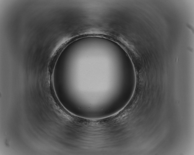 X0000097631408200802291329