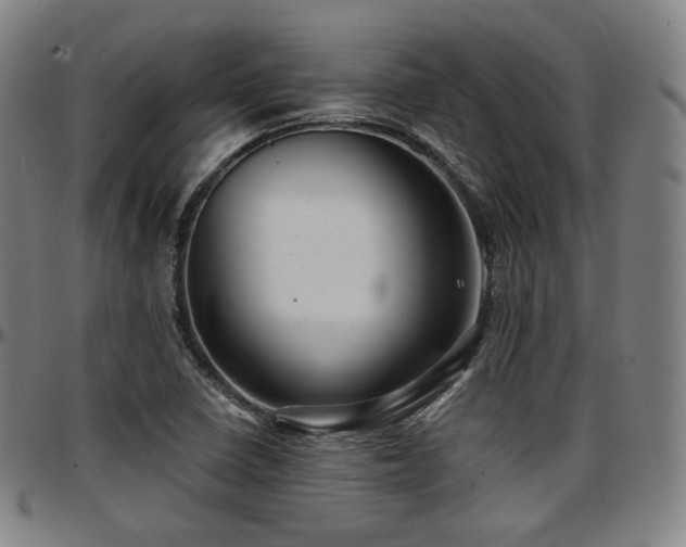 X0000097631410200802291329