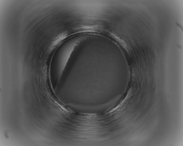 X0000097631411200802291329