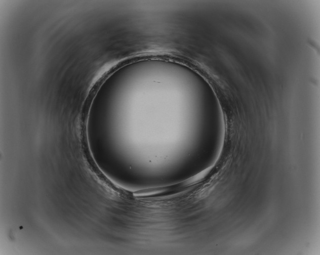 X0000097631412200802291329