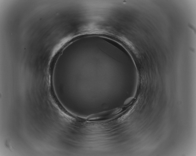 X0000097631414200802291329