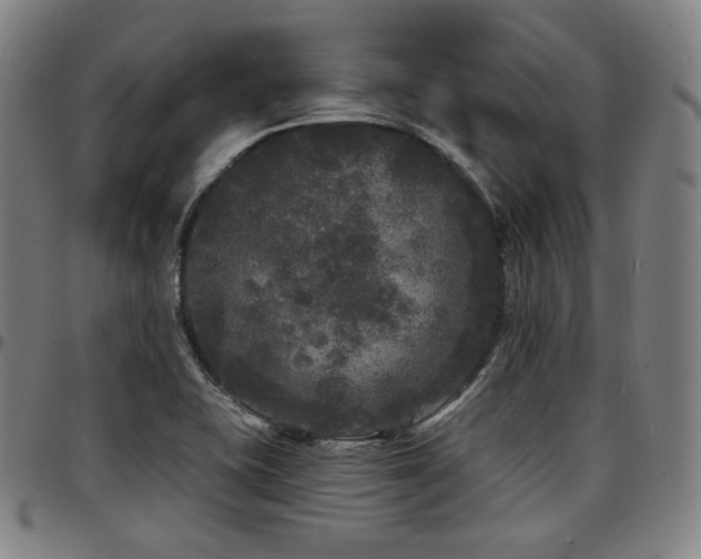 X0000097631415200802291329