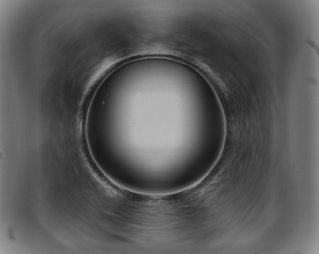 X0000097631416200802291329