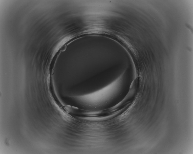 X0000097631418200802291329