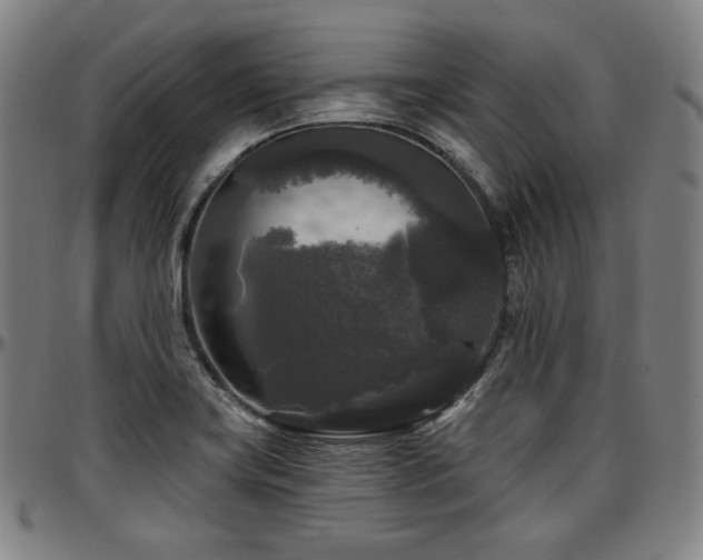 X0000097631419200802291329