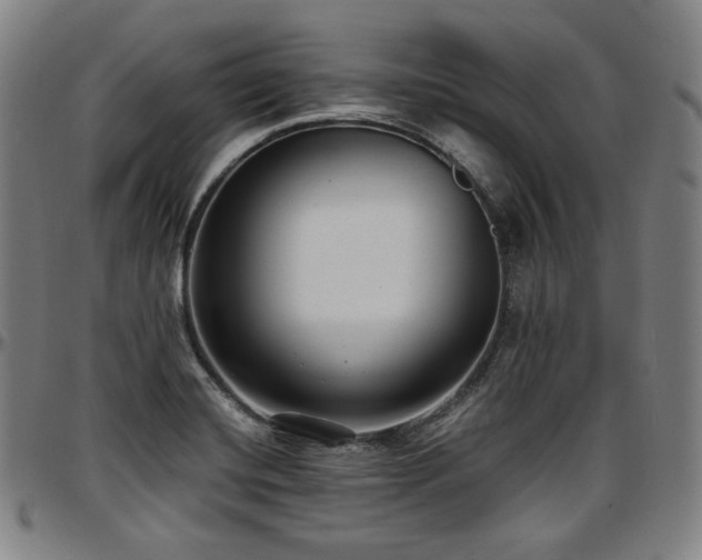 X0000097631420200802291329
