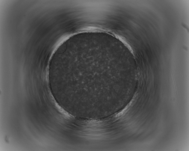 X0000097631421200802291329