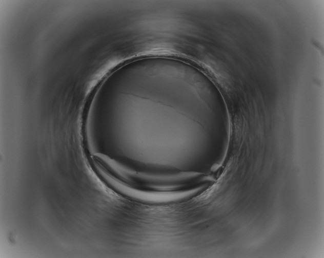 X0000097631422200802291329