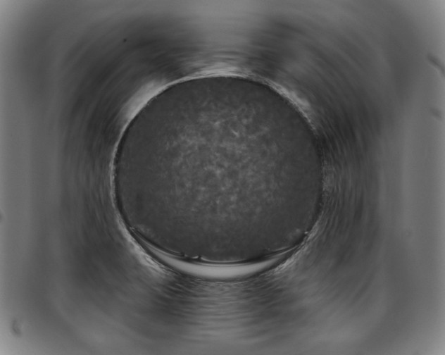 X0000097631423200802291329