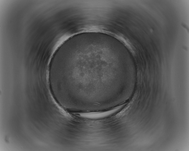 X0000097631424200802291329