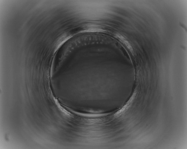 X0000097631425200802291329