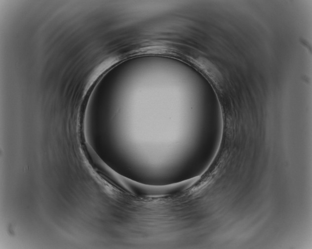X0000097631426200802291329