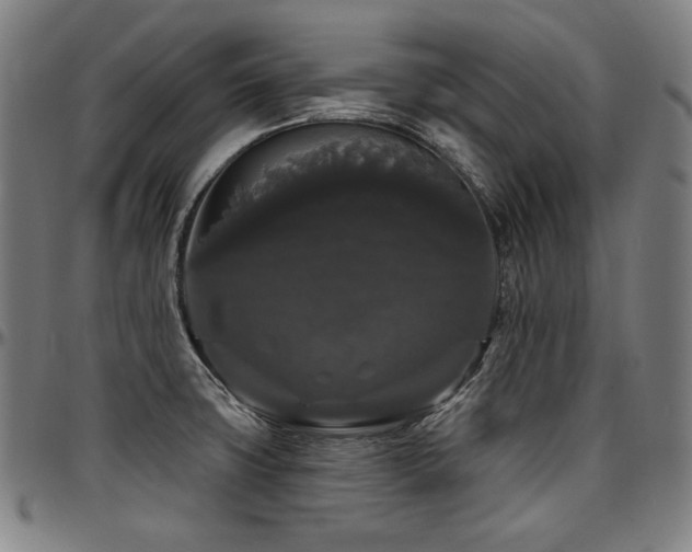 X0000097631427200802291329