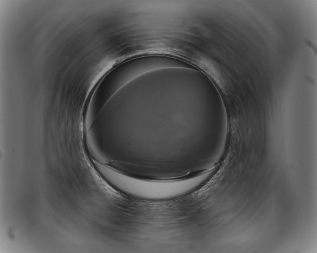 X0000097631428200802291329