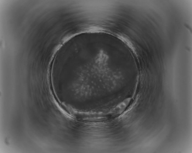 X0000097631429200802291329