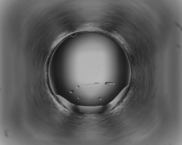 X0000097631430200802291329