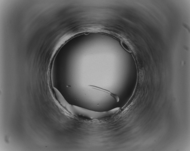 X0000097631432200802291329