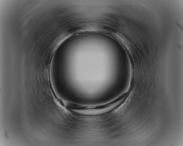 X0000097631433200802291329