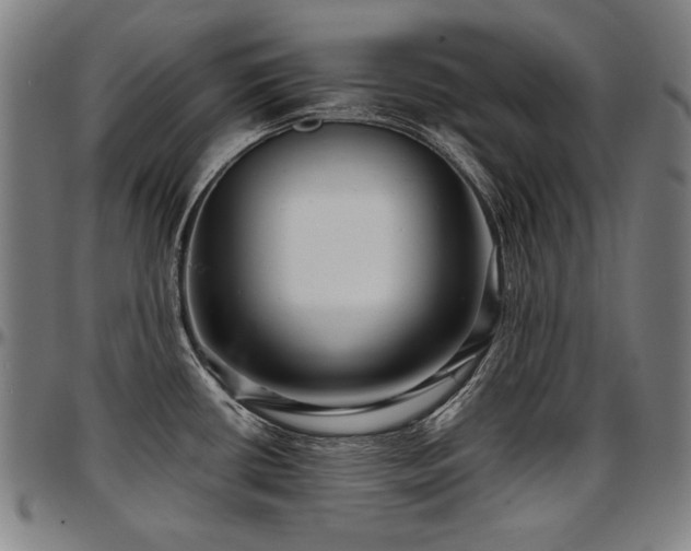 X0000097631434200802291329